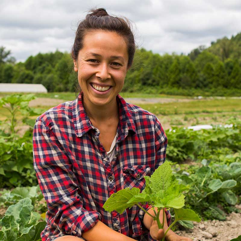 Гама%202000%20ООД%20|%20Производител%20на%20печена%20леблебия%20и%20ядки%20|%2025+%20години%20качество