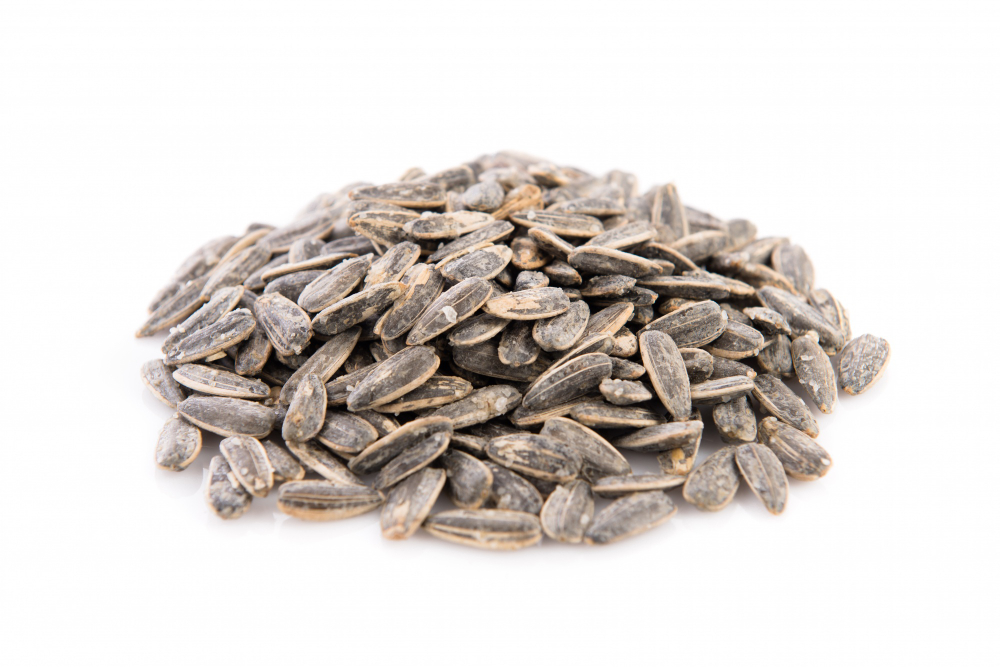 Гама%202000%20ООД%20|%20Производител%20на%20печена%20леблебия%20и%20ядки%20|%2025+%20години%20качество