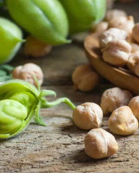 Гама 2000 ООД | Производител на печена леблебия и ядки | 25+ години качество