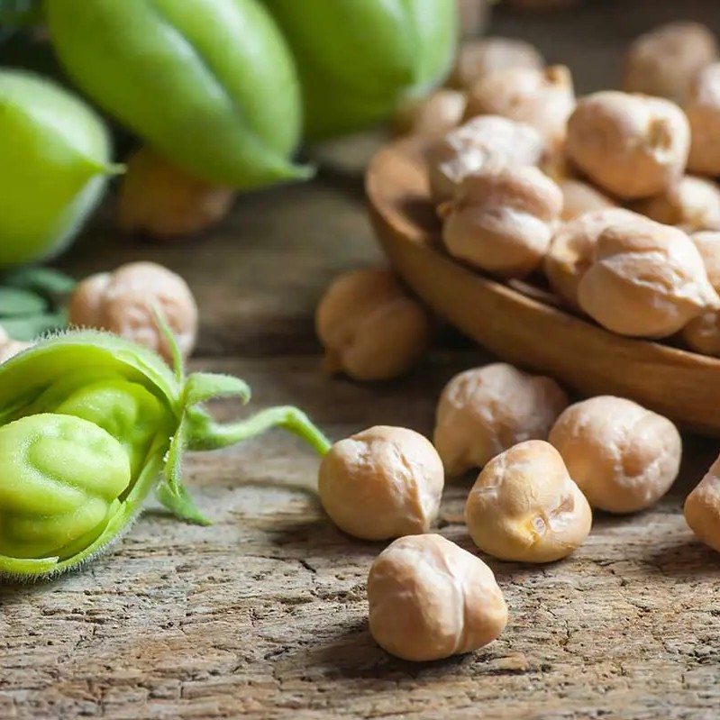 Гама%202000%20ООД%20|%20Производител%20на%20печена%20леблебия%20и%20ядки%20|%2025+%20години%20качество